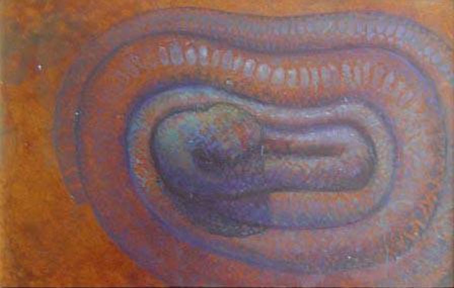 Snake 