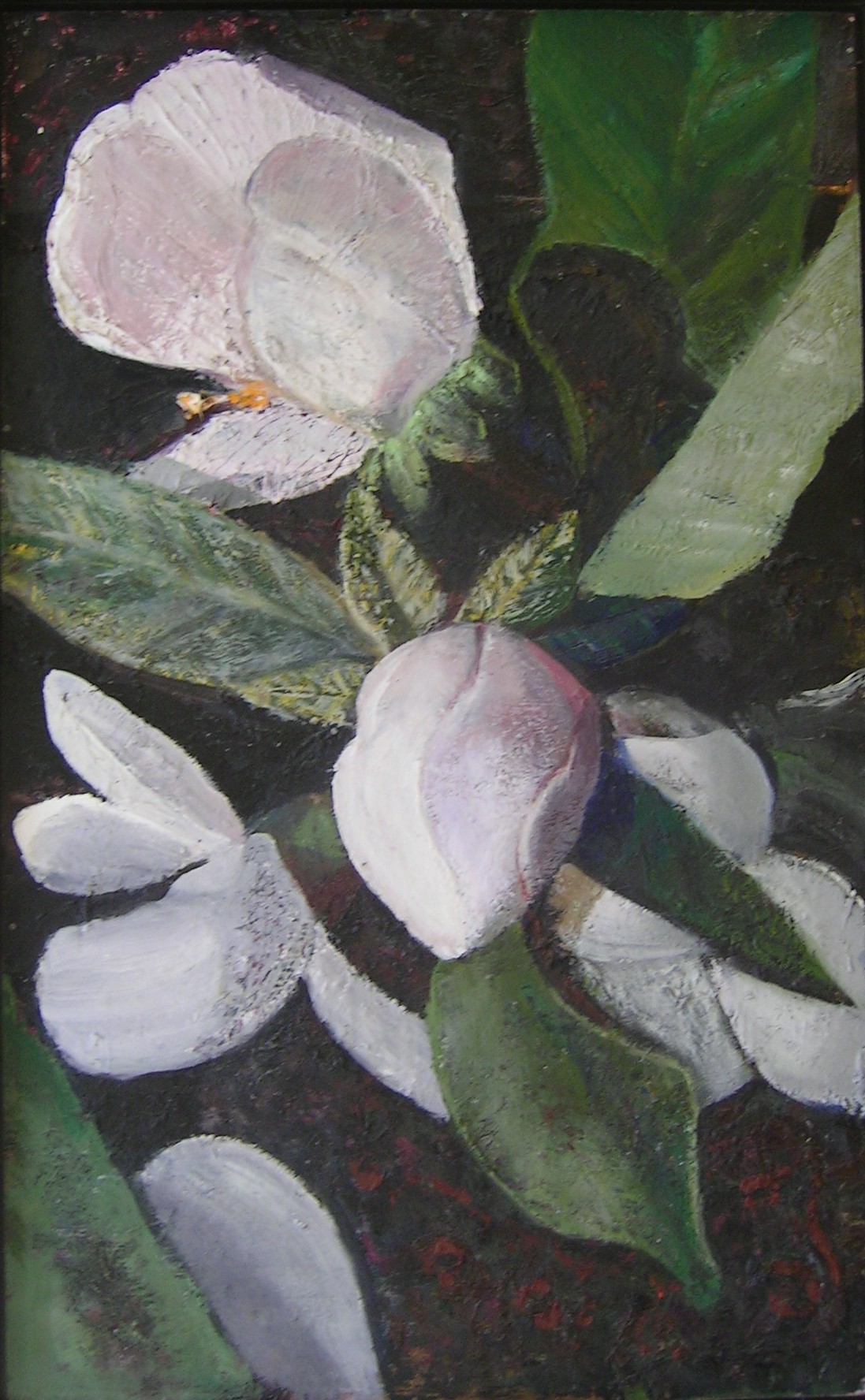 Apple flower