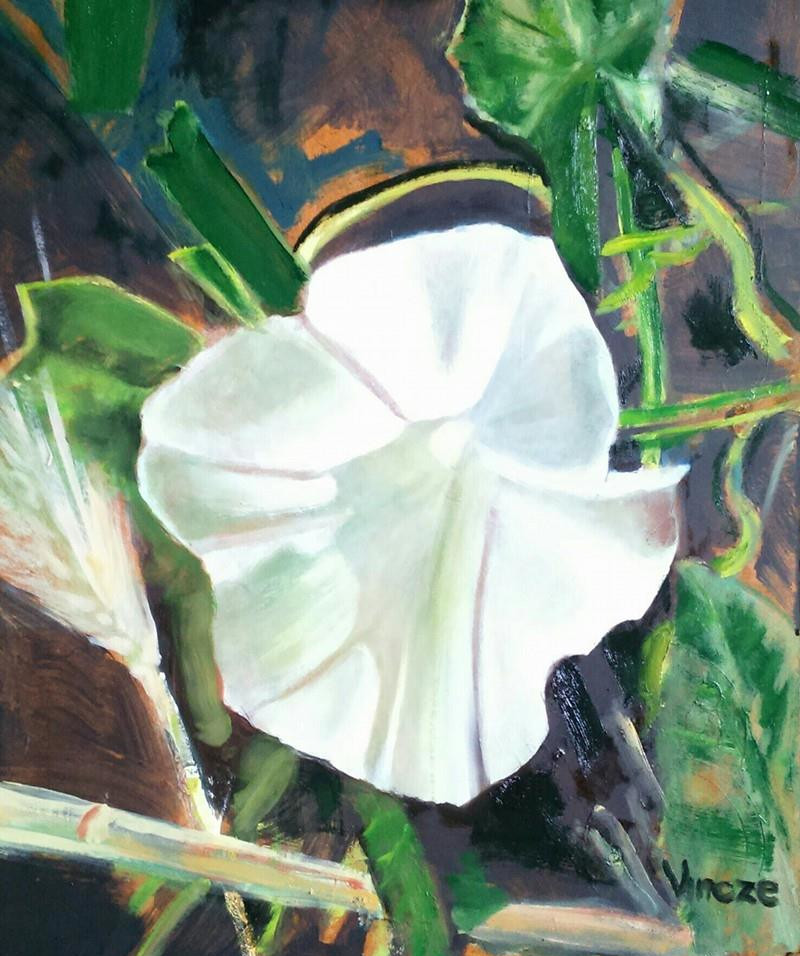 Bean flower
