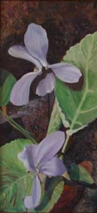 Violets