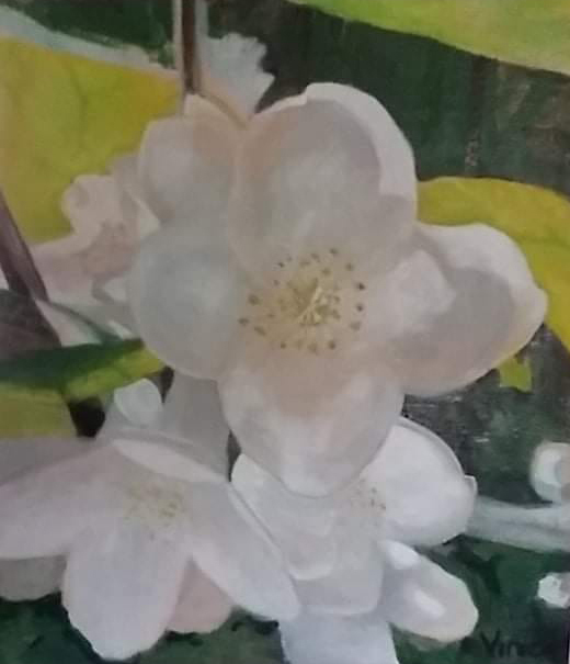 Jasmin