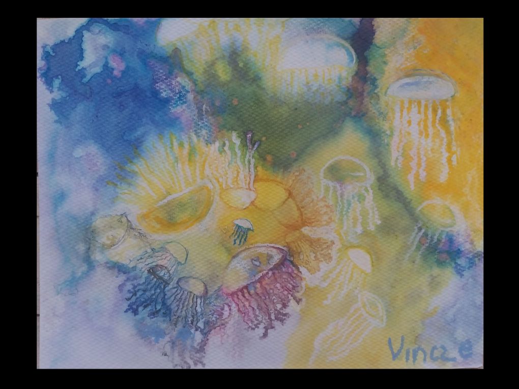 Jellyfish