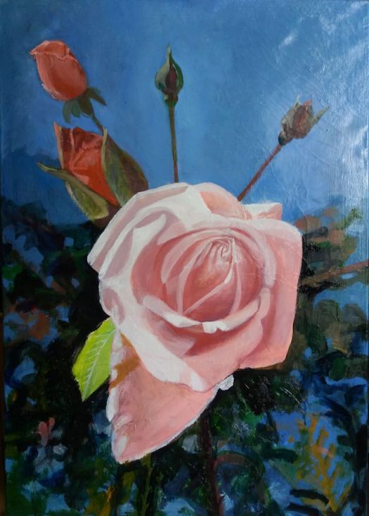 Rose